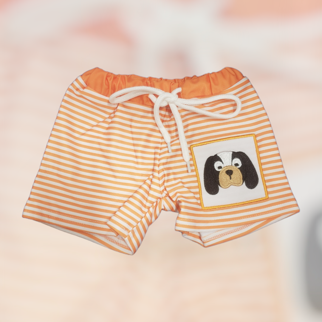 Tennessee Swim Shorts